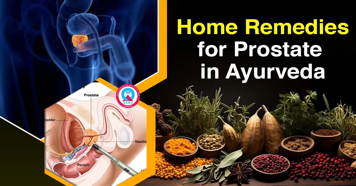 home-remedies-for-prostate-in-ayurveda